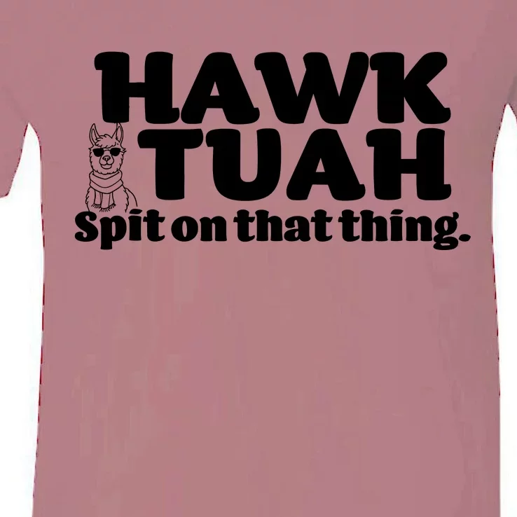 Hawk Tuah Spit On That Thang V-Neck T-Shirt