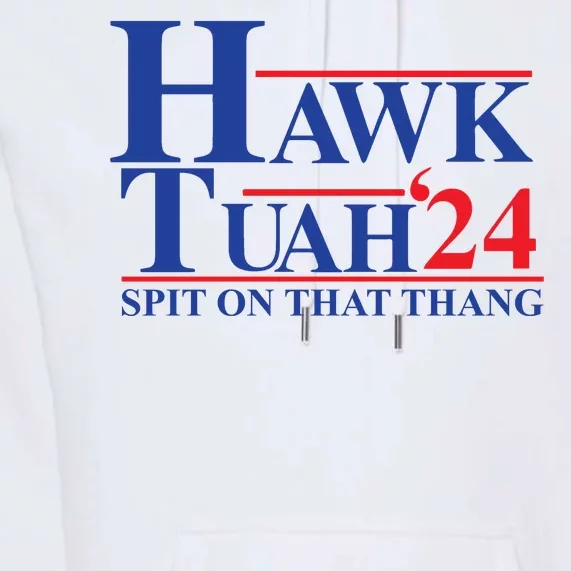 Hawk Tuah Spit On That Thang 2024 Premium Hoodie