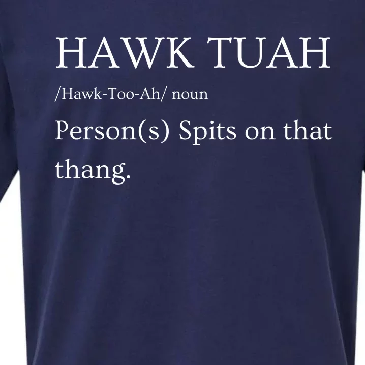 Hawk Tuah Spit On That Thang! Fun Viral 2024 Funny Gift Ideas Perfect For Sueded Cloud Jersey T-Shirt