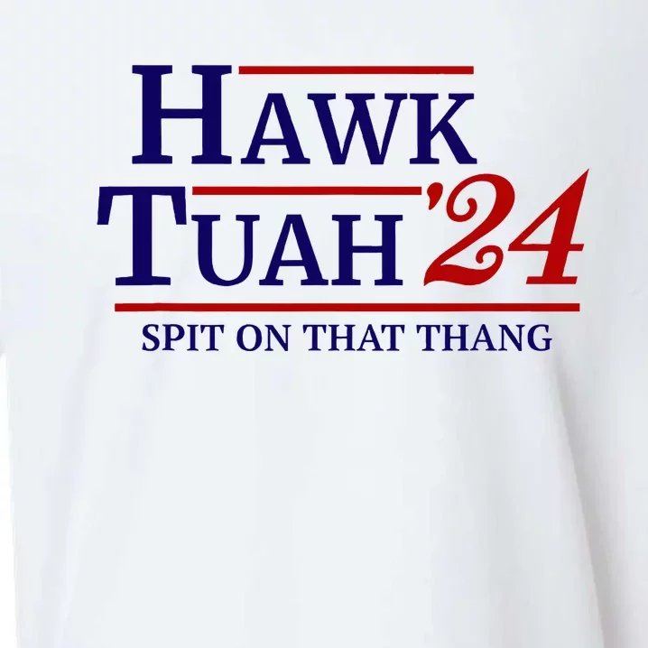 Hawk Tuah Spit On That Thang Retro Us Election Sueded Cloud Jersey T-Shirt