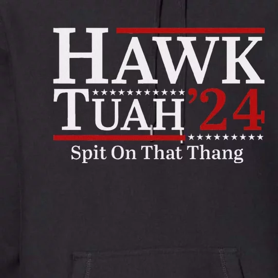 Hawk Tuah Spit On That Thang 2024 Funny Viral Meme Premium Hoodie