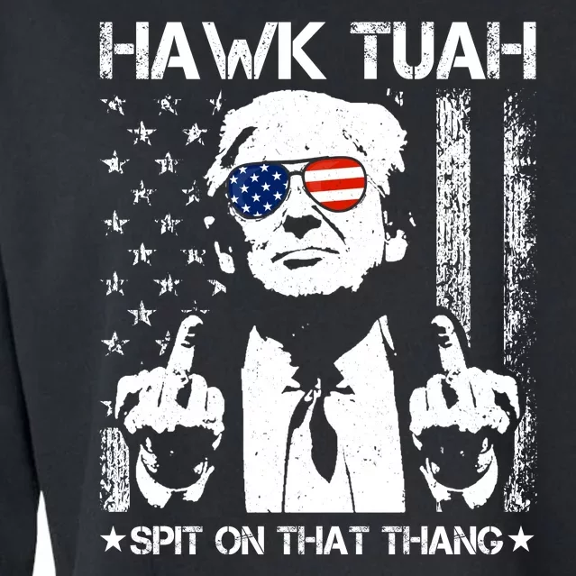 Hawk Tuah Spit On That Thang Trump Cropped Pullover Crew