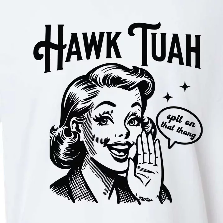 Hawk Tuah Spit On That Thang Sueded Cloud Jersey T-Shirt