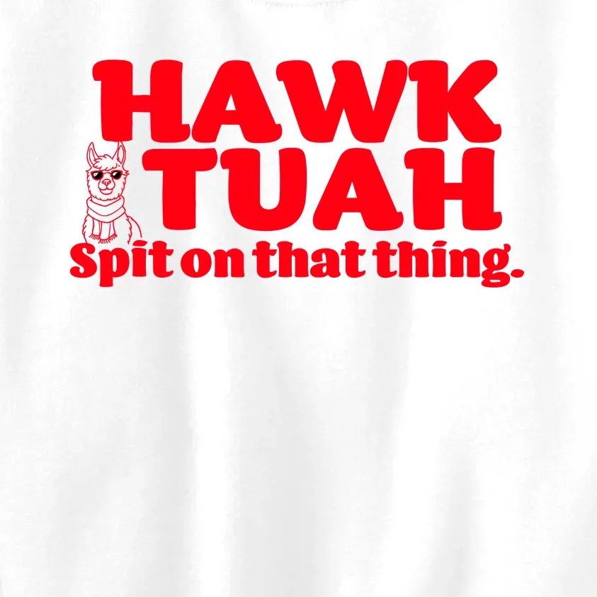 Hawk Tuah Spit On That Thang Kids Sweatshirt