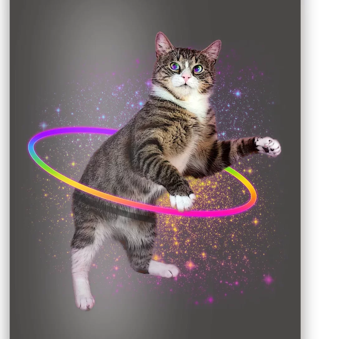 Galaxy Cat DJ | Poster