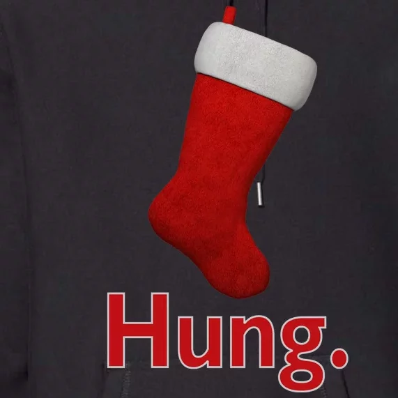 Hung Funny Christmas Premium Hoodie