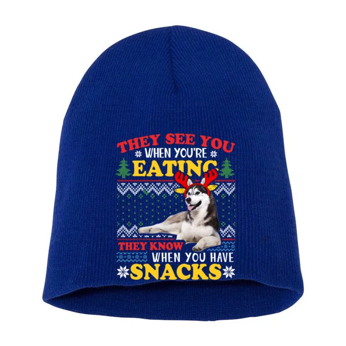 Husky Ugly Xmas Gift They See Youre Eating Gift Short Acrylic Beanie