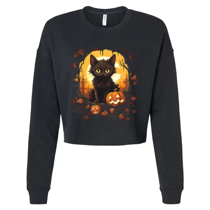 Halloween Witch Cat Pumpkin Cute Moon JackOLantern Costume Cropped Pullover Crew