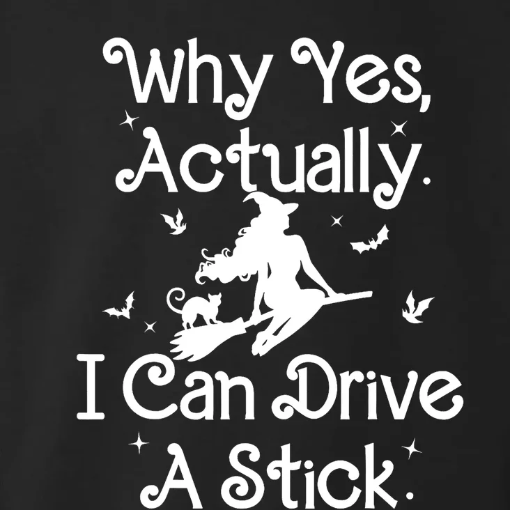 Halloween Witch Cat Why Yes Actually I Can Drive A Stick Toddler Hoodie