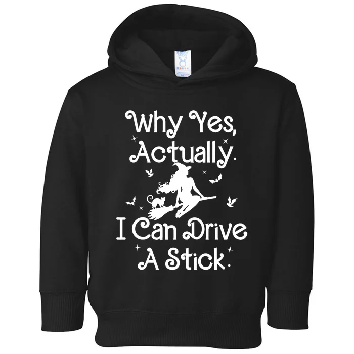 Halloween Witch Cat Why Yes Actually I Can Drive A Stick Toddler Hoodie