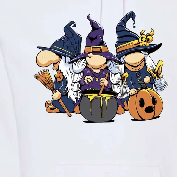 Halloween Witch Gnomes Premium Hoodie