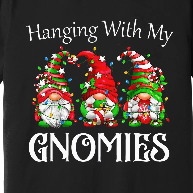 Hanging With My Gnomies Family Pajamas Premium T-Shirt