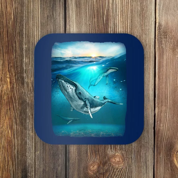 Humpback Whale Sea Ocean Coaster