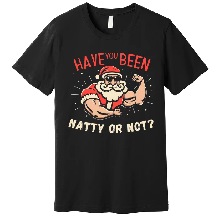 Have You Been Natty Or Christmas Not Santa Workout Premium T-Shirt