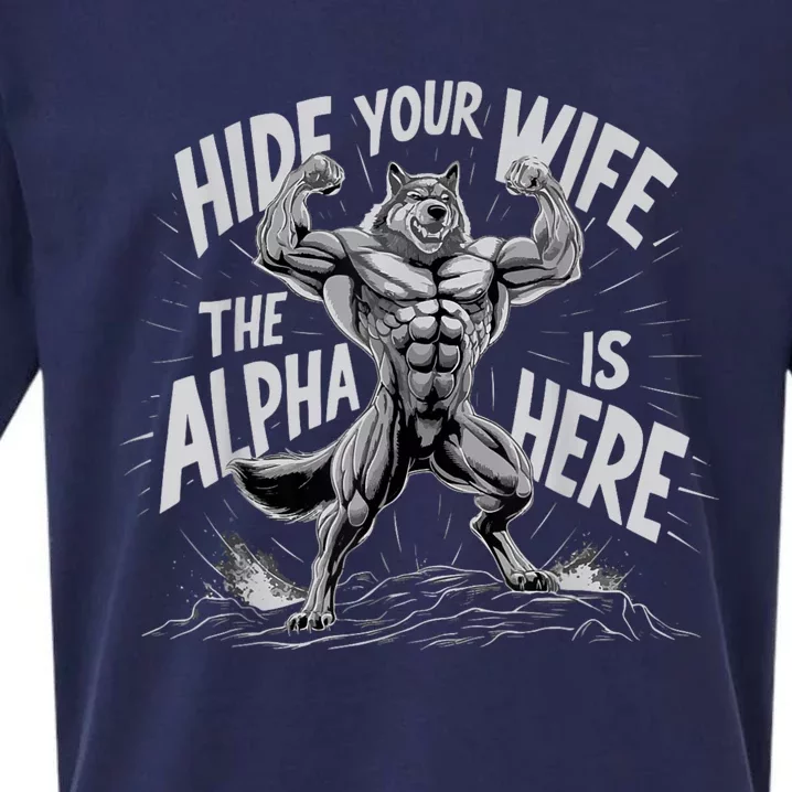 Hide Your Wife The Alpha Is Here Sueded Cloud Jersey T-Shirt