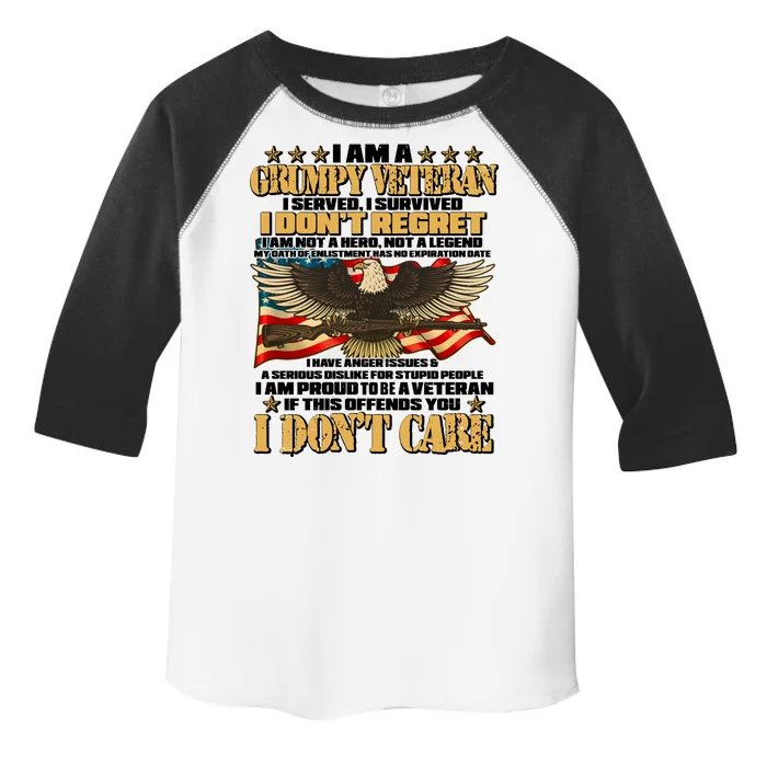 I Am A Grumpy Proud Veteran Funny Toddler Fine Jersey T-Shirt