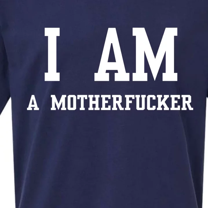 I Am A Motherfucker Sueded Cloud Jersey T-Shirt