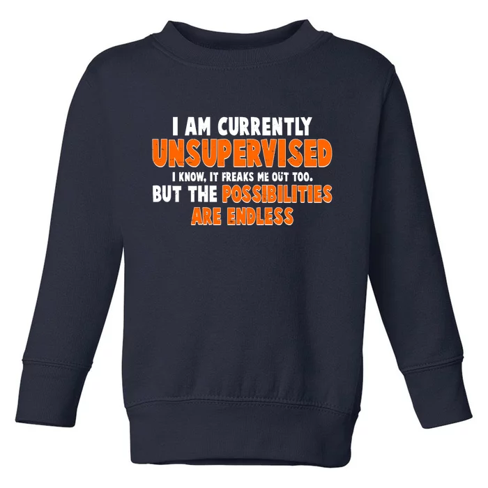 I Am Currently Unsupervised The Possibilities Are Endless Toddler Sweatshirt