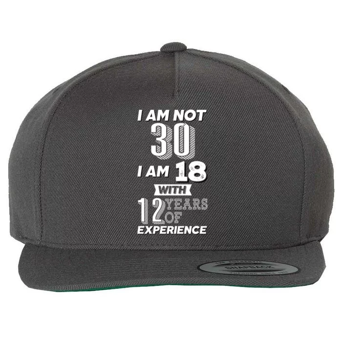 I Am Not 30 I Am 18 With 12 Years Of Experience 30th Birthday Wool Snapback Cap