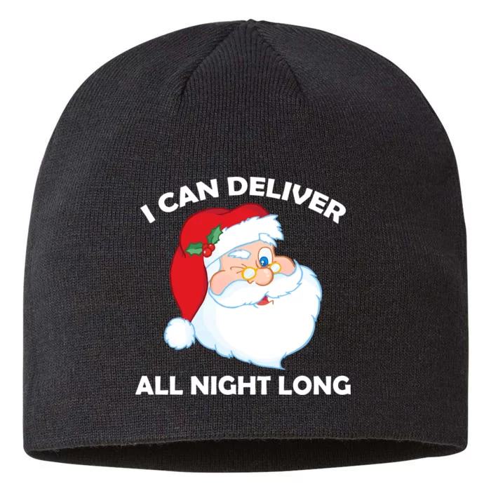 I Can Deliver All Night Long X-Mas Bad Santa 8 1/2in Sustainable Knit Beanie