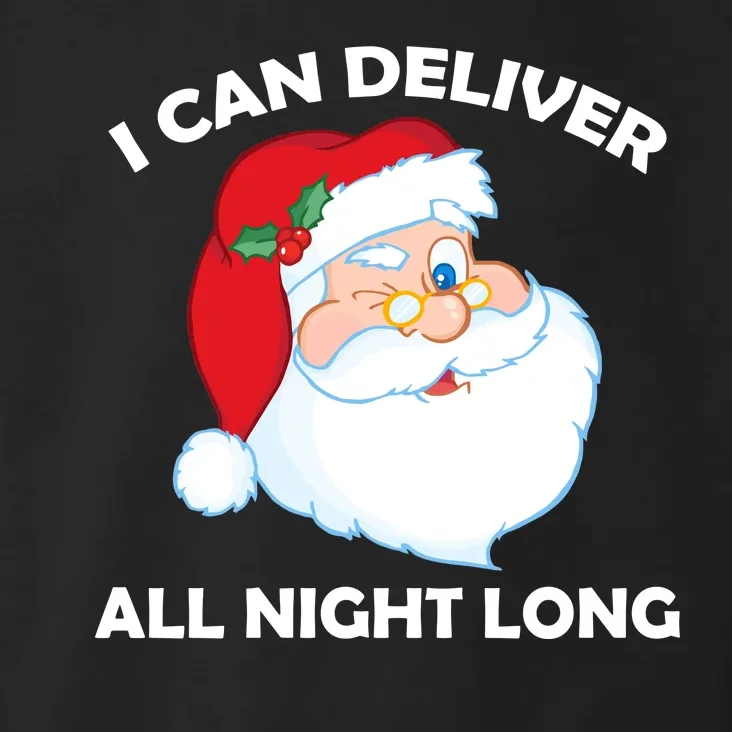 I Can Deliver All Night Long X-Mas Bad Santa Toddler Hoodie