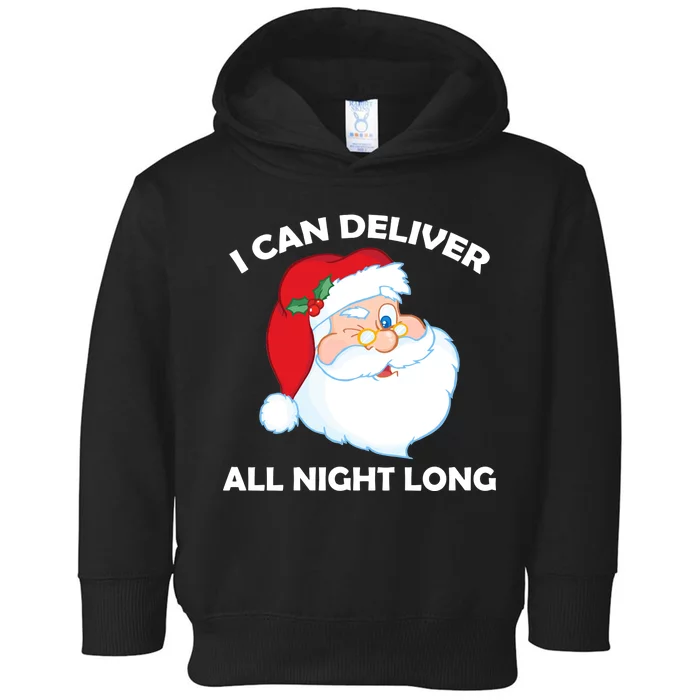 I Can Deliver All Night Long X-Mas Bad Santa Toddler Hoodie