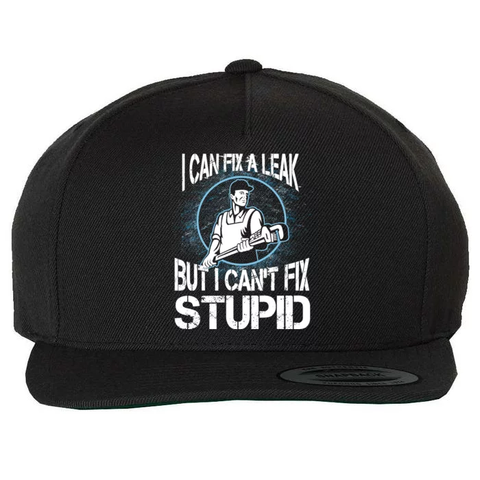 I Can Fix A Leak But Can't Fix Stupid Wool Snapback Cap