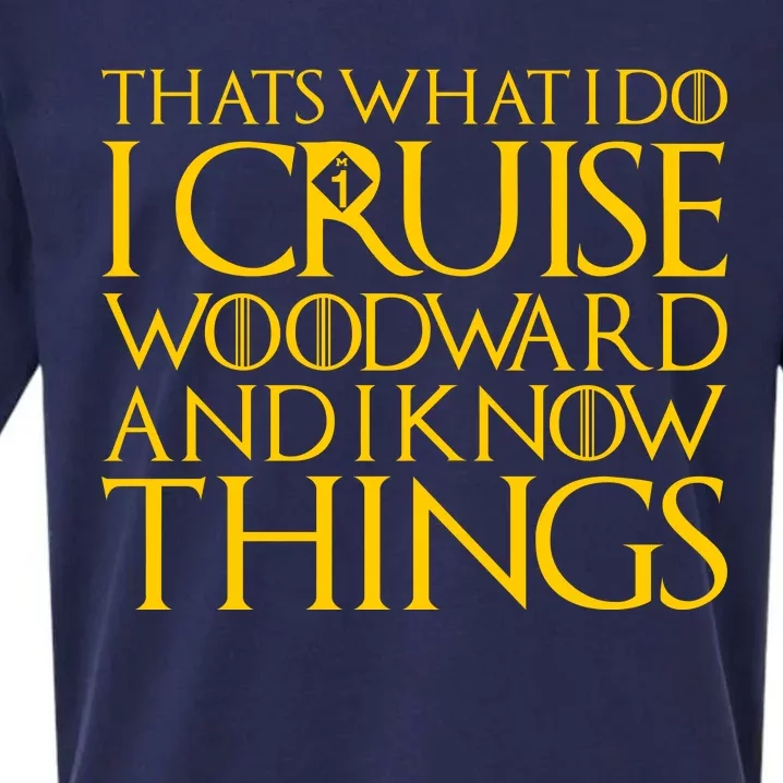 I Cruise Woodward Ave and Know Things Sueded Cloud Jersey T-Shirt