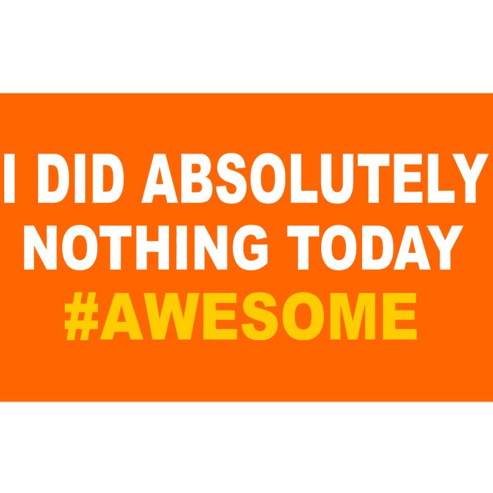 I Did Absolutely Nothing Today #Awesome Bumper Sticker