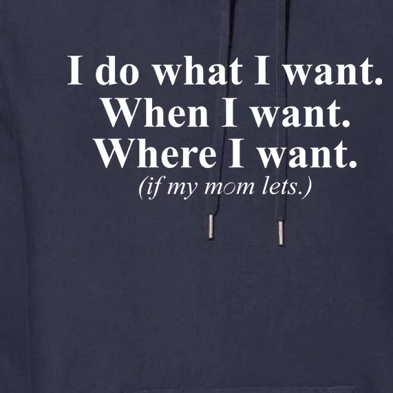 I Do What I Want Premium Hoodie