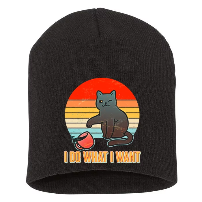 I Do What I Want Bad Cat Short Acrylic Beanie