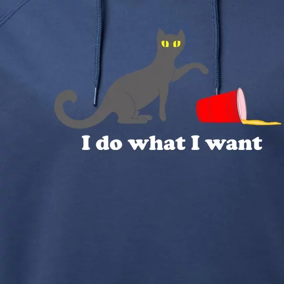 I Do What I Want Evil Cat Performance Fleece Hoodie