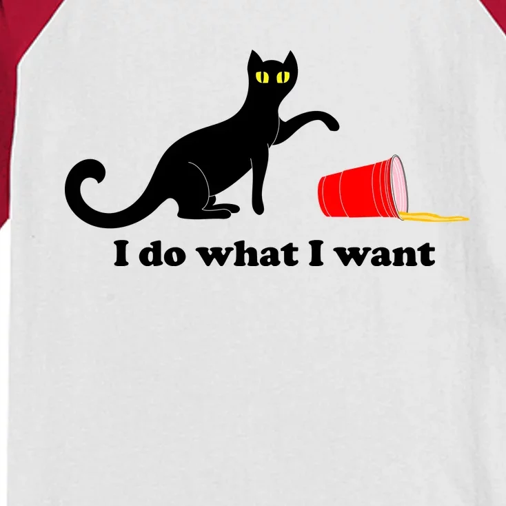 I Do What I Want Evil Cat Kids Colorblock Raglan Jersey