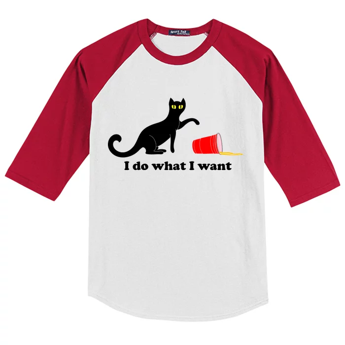 I Do What I Want Evil Cat Kids Colorblock Raglan Jersey