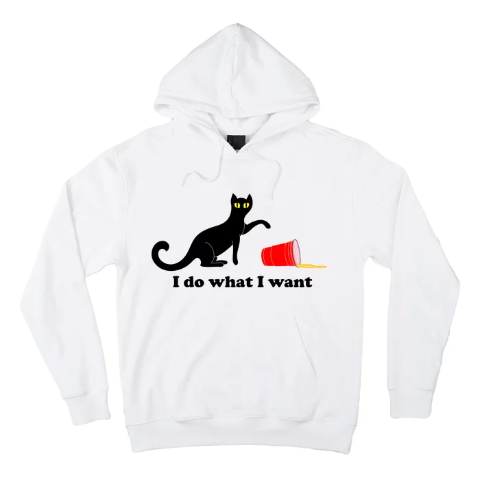 I Do What I Want Evil Cat Hoodie | TeeShirtPalace