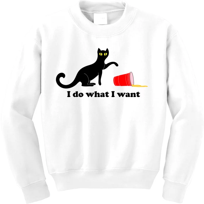 I Do What I Want Evil Cat Kids Sweatshirt