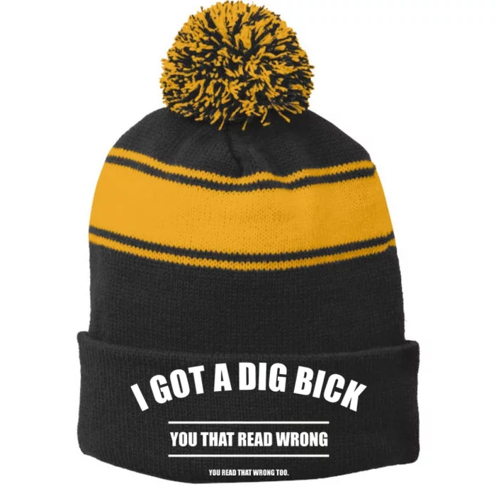 I Got a Dig Bick You Read That Wrong Funny Word Play Stripe Pom Pom Beanie