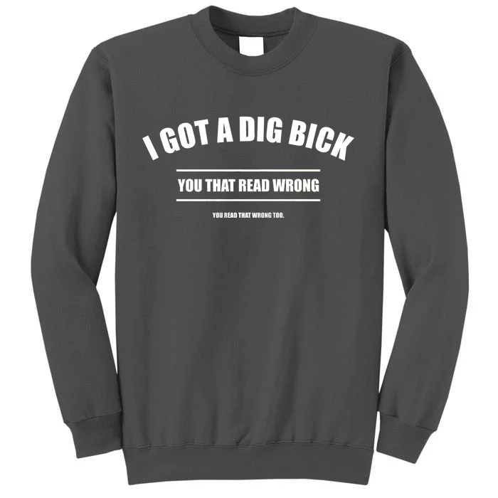 I Got a Dig Bick You Read That Wrong Funny Word Play Tall Sweatshirt