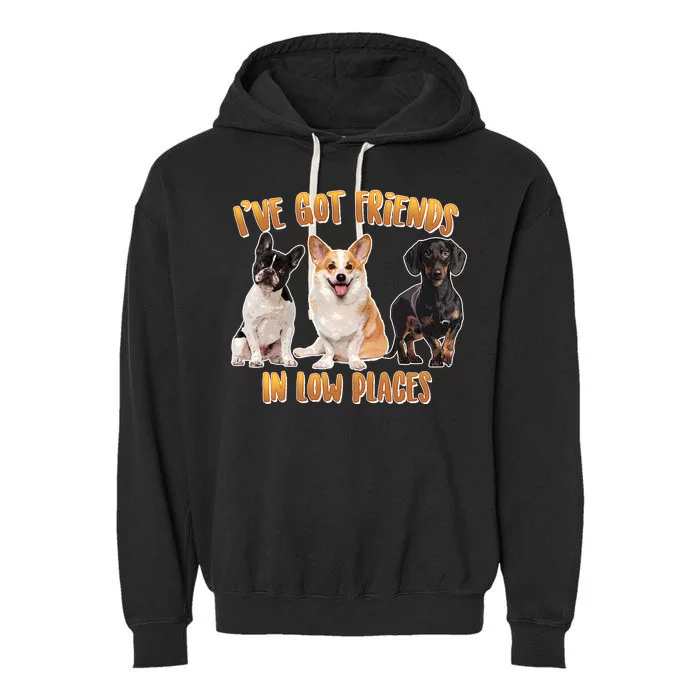 I Got Friends In Low Places Dogs Garment-Dyed Fleece Hoodie