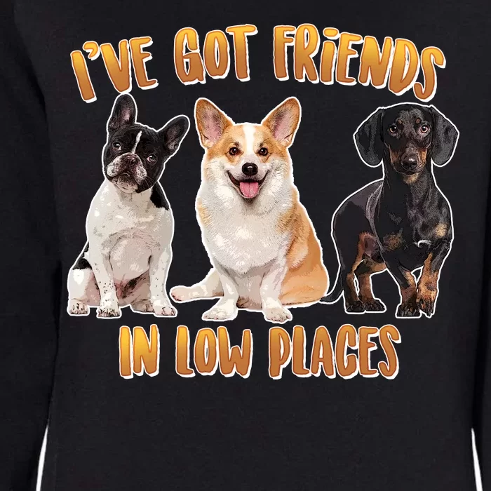 I Got Friends In Low Places Dogs Womens California Wash Sweatshirt