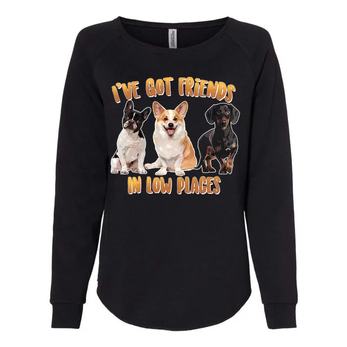 I Got Friends In Low Places Dogs Womens California Wash Sweatshirt