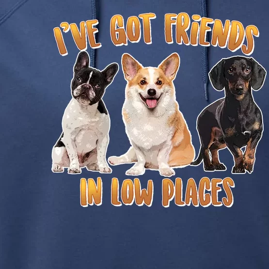 I Got Friends In Low Places Dogs Performance Fleece Hoodie