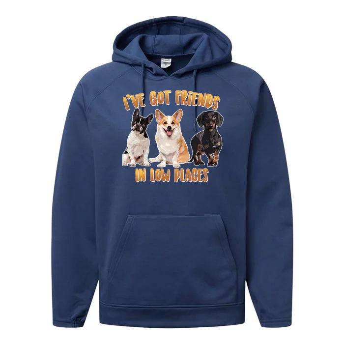 I Got Friends In Low Places Dogs Performance Fleece Hoodie