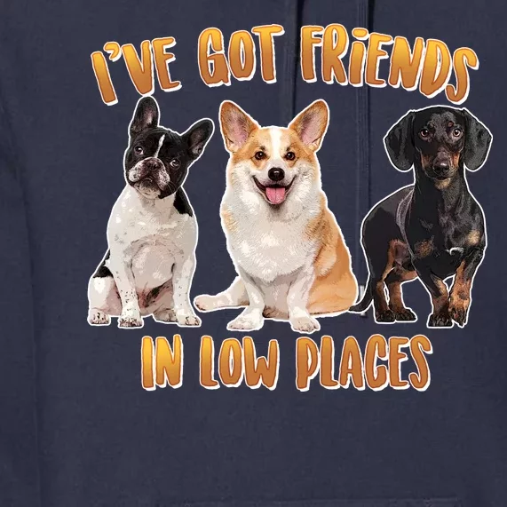 I Got Friends In Low Places Dogs Premium Hoodie