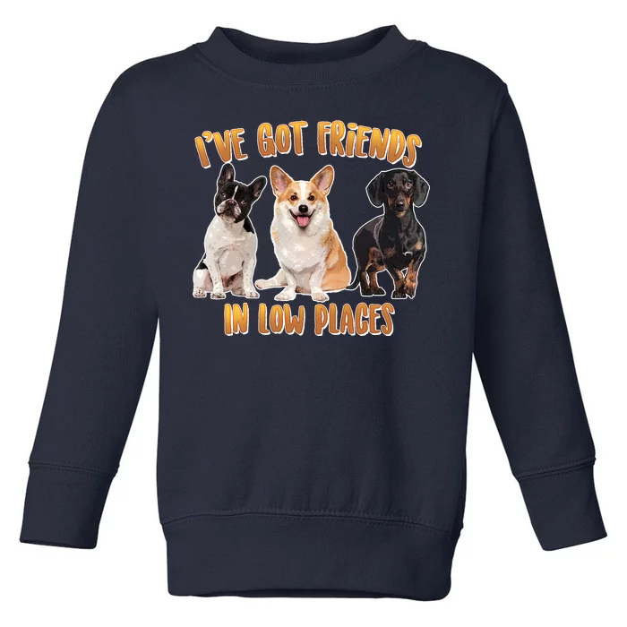 I Got Friends In Low Places Dogs Toddler Sweatshirt