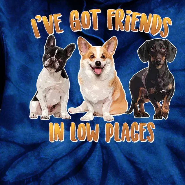 I Got Friends In Low Places Dogs Tie Dye Hoodie