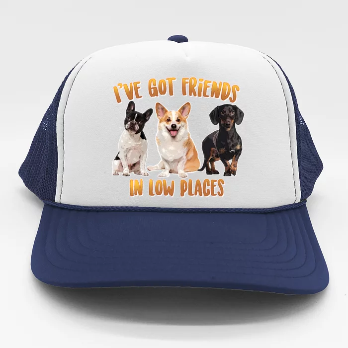 I Got Friends In Low Places Dogs Trucker Hat