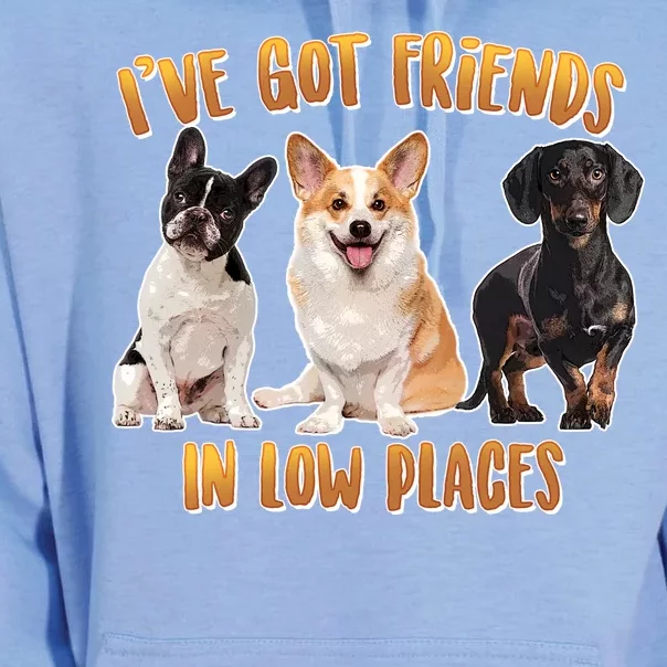 I Got Friends In Low Places Dogs Unisex Surf Hoodie