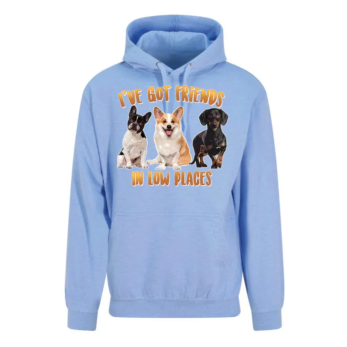 I Got Friends In Low Places Dogs Unisex Surf Hoodie