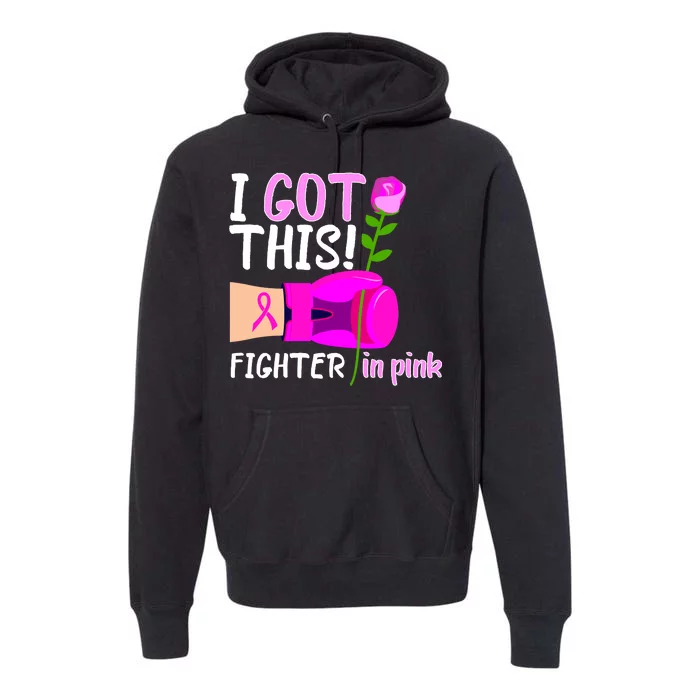 I Got This Fighter In Pink Breast Cancer Premium Hoodie